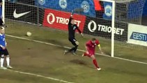 Branislav Ivanovic Goal HD - Estonia 0-1 Serbia - 29.03.2016
