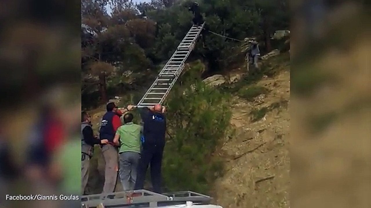 Floating goat conundrum requires ingenious rescue operation