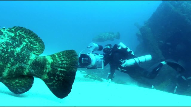 World's Best Diving & Resorts: Jupiter Dive Center