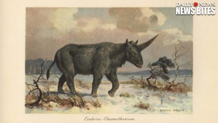 A New Study Shows 'Unicorns' Walked The Earth