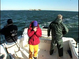 Targeting Striped Bass