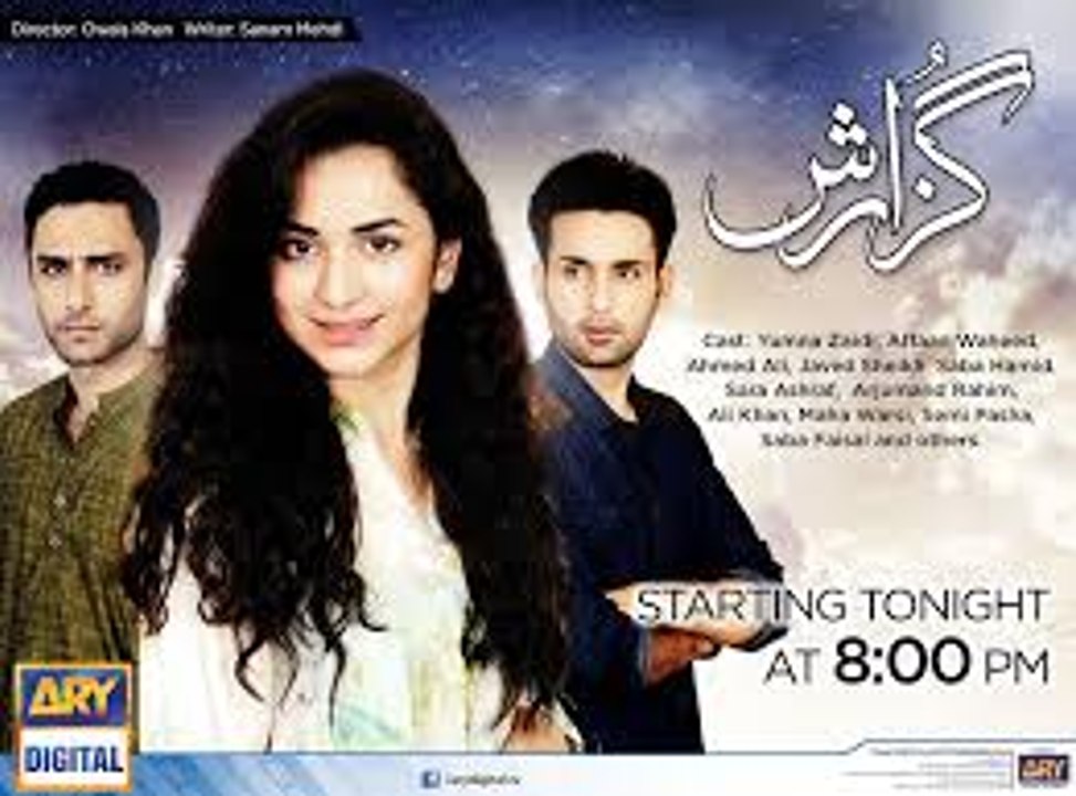 Guzarissh Episode 20 Ary Digital Drama 29 th march 2016