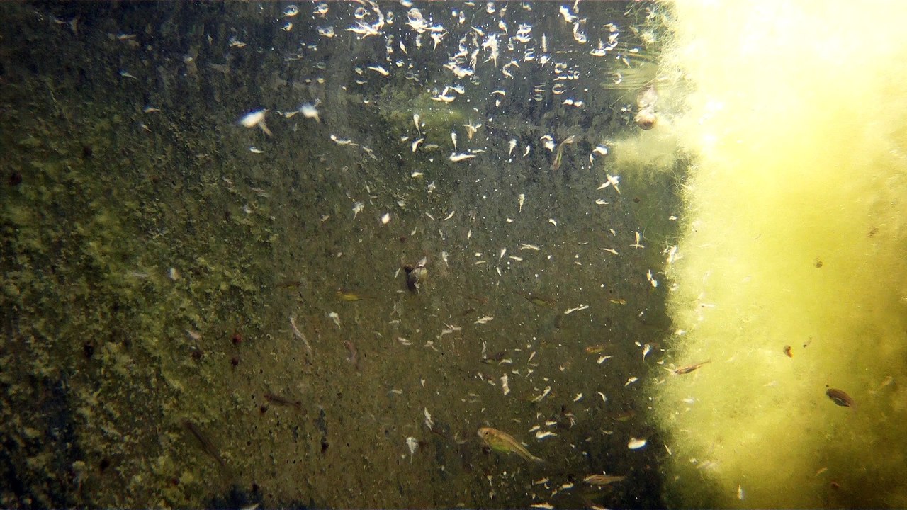 FILE0093