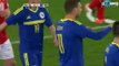Edin Dzeko Goal - Switzerland 0-1 Bosnia-Herzegovina - 29.03.2016