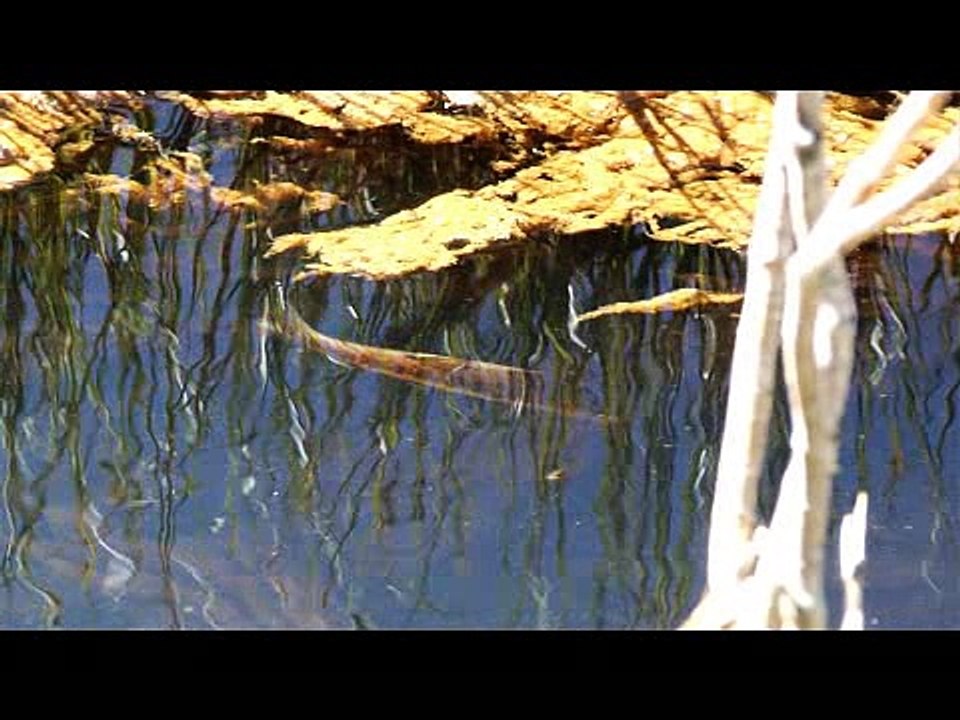 Heroes of Conservation 2009: Gala