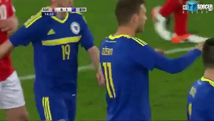 Edin Dzeko Goal HD - Switzerland 0-1 Bosnia-Herzegovina - 29.03.2016 HD