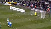 McClean Penalty Goal  2:1  Ireland vs Slovakia  29.03.2016