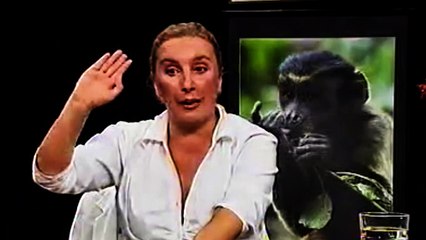 Sandra Dabo odjavljuje Noćnu moru