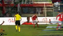 Hakan Calhanoglu Goal HD - Austria 1 - 1 Turkey - 29-03-2016