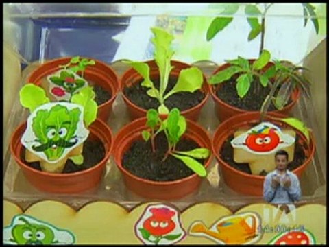 Se realizó premiación de concurso CITI Emprendedores