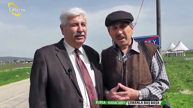 ÇOBANLA BAŞBAŞA -39. Karacabey-Bursa SALMA SIĞIR ve Manda ÇOBANI-Kadir Demircan