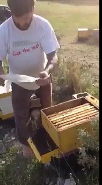 Τάισμα στα μελίσσια