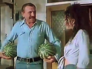 Misin unuk-Zikina Dinastija