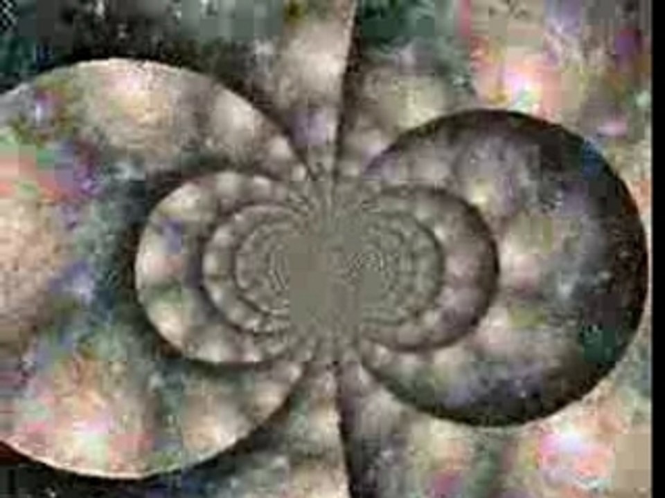 cosmos
