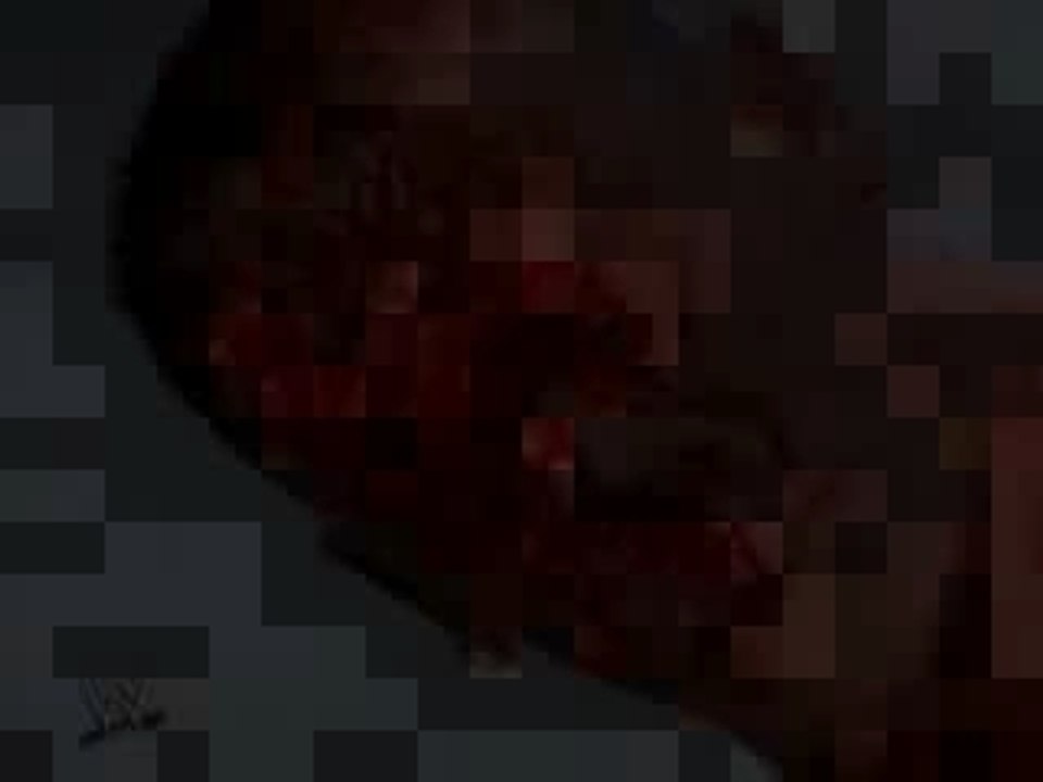 New Year's Revolution 06WWE Championship - Edge VS John Cena