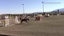 Equestrian Karl Cook jumps his horse Basimodo at Brook Ledge