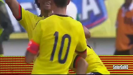 Carlos Bacca Goal - Colombia Vs Ecuador