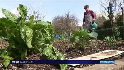 Jardiner efficacement sans pesticides