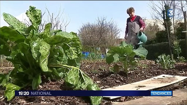 Jardiner efficacement sans pesticides