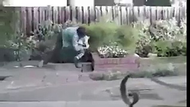 نعمة وجود الوالدين..؟ إن نعمة وجود الوالدين على قيد الحياة لا يشعر بها إلا من فقدها. الوالدين الوالدين فالوالدين باب لك إلى الجنة ...