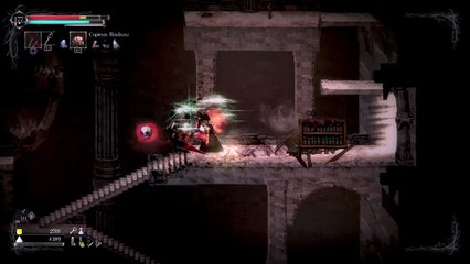 Salt and Sanctuary - Chemin a prendre pour continuer le jeu apres le Kraekan Wyrm