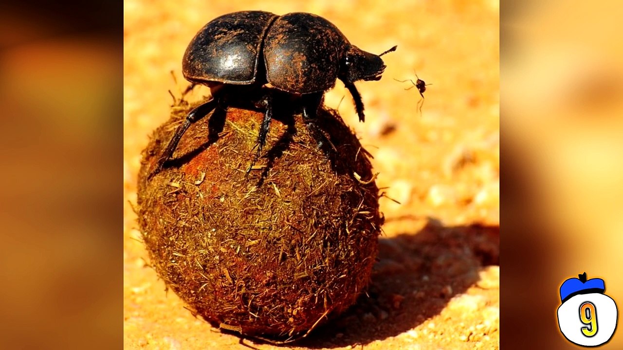 10 Terrifying Personal Stories of Sleep Paralysis