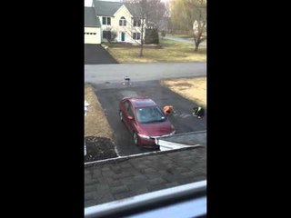 Kids Graffiti Neighbor's Driveway, but It's Not What You'd Expect