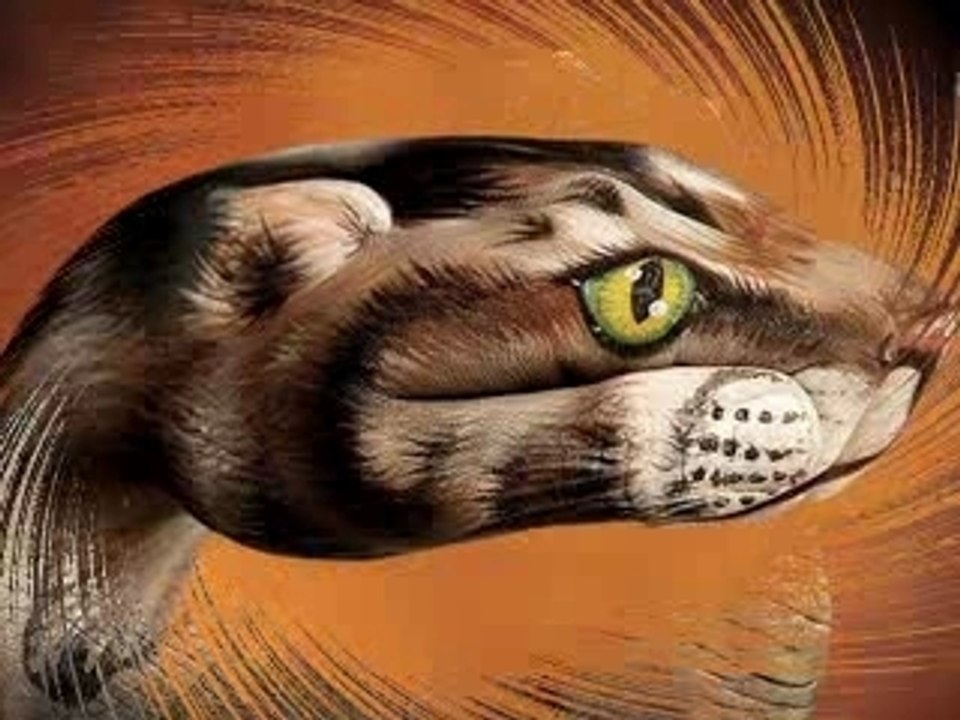 manos pintadas