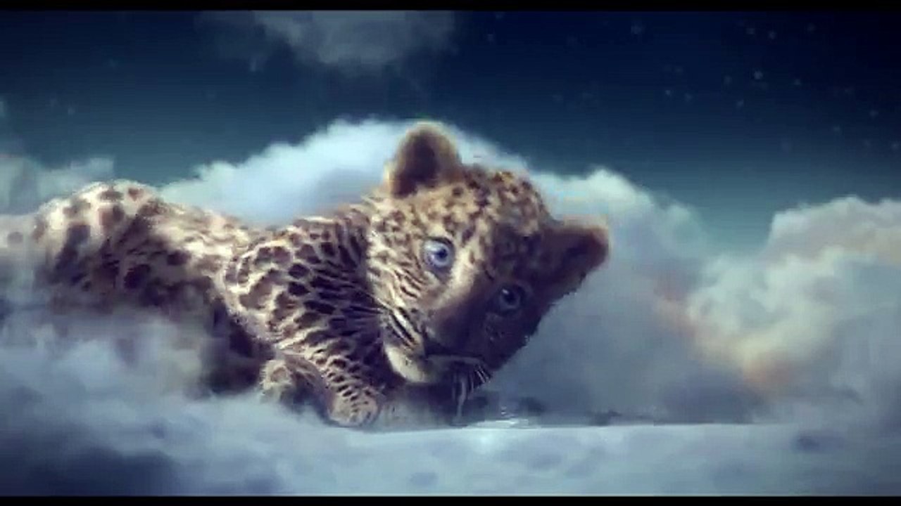 Cartier Winter Tale