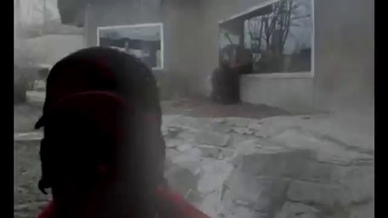 Monstrous gorilla tries to attack zoo visitor through glass