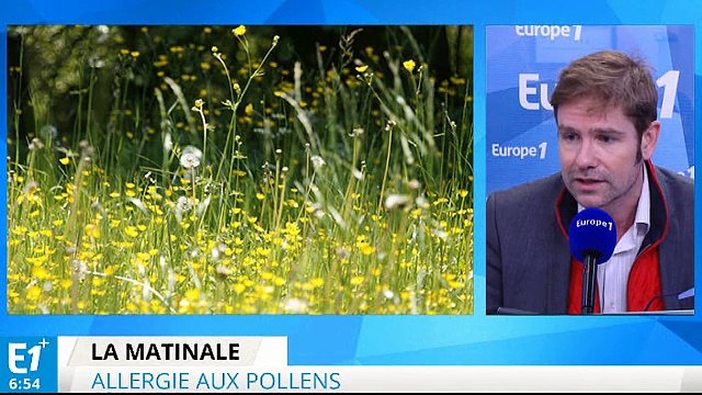 Printemps : les allergies sont de retour