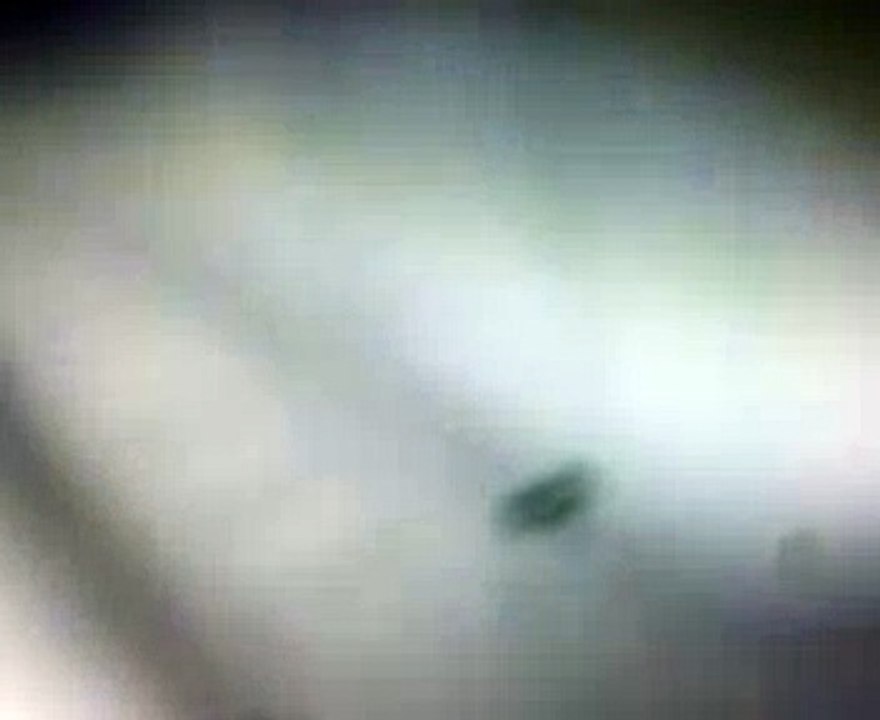 Maulana Abdul Khaliq & Maulana Umar Qasmi  Madrasi president of {DARUL ULOOM DEOBAND} 1