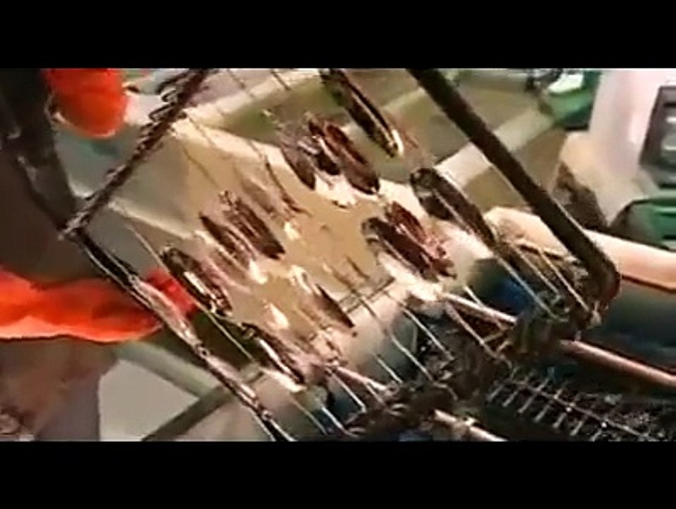 Sahte balık yemi nasıl yapılır