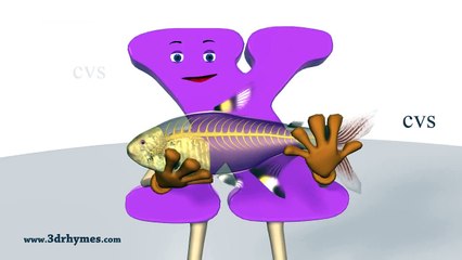 Letter X Song - 3D Animation Learning English Alphabet ABC Songs for Children
