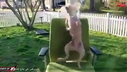 With tears I swear hhhhhhhhhhh