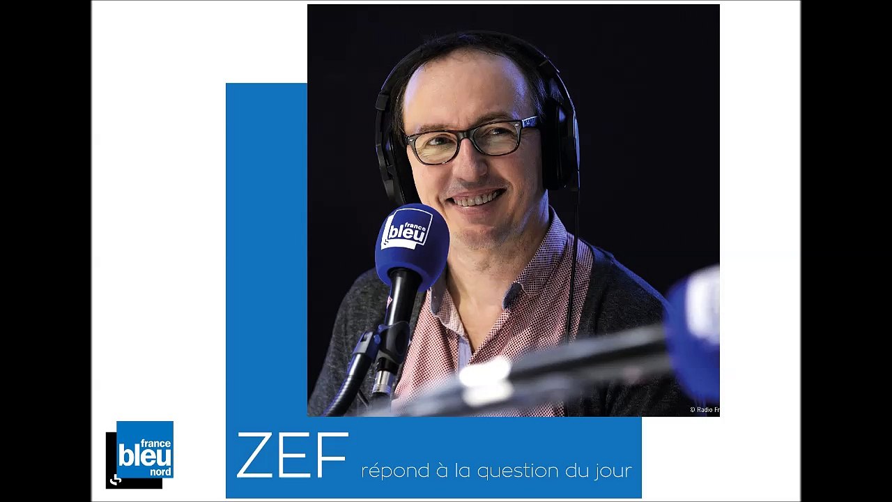 ZEF- Des lycées au  Top 50