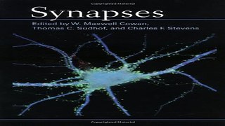 Download Synapses