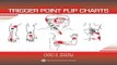 Download Travell and Simons  Trigger Point Flip Charts