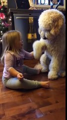 Fillette en pleine séance de dressage avec son chien docile. Adorable