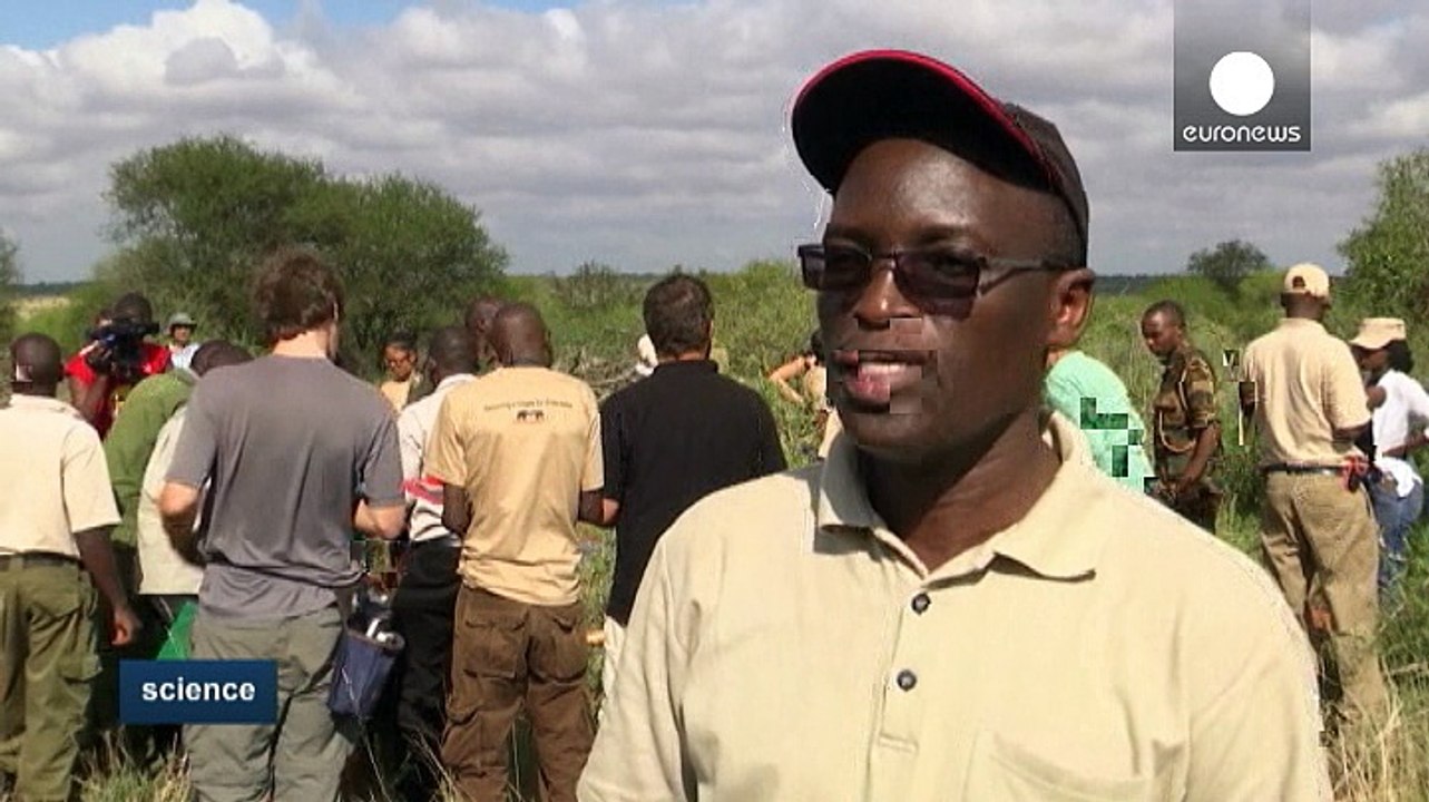 Kenia: Schutzkorridore für Elefanten