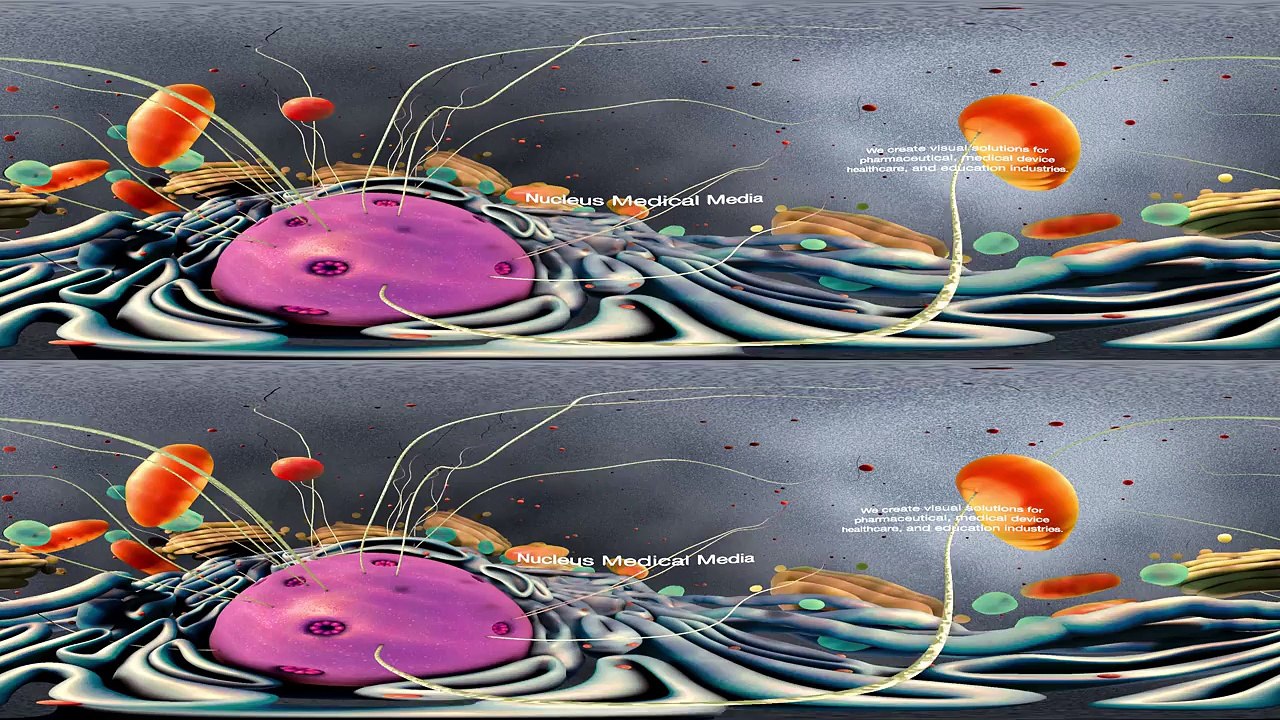 360° Cellular Activity Animation (demo)