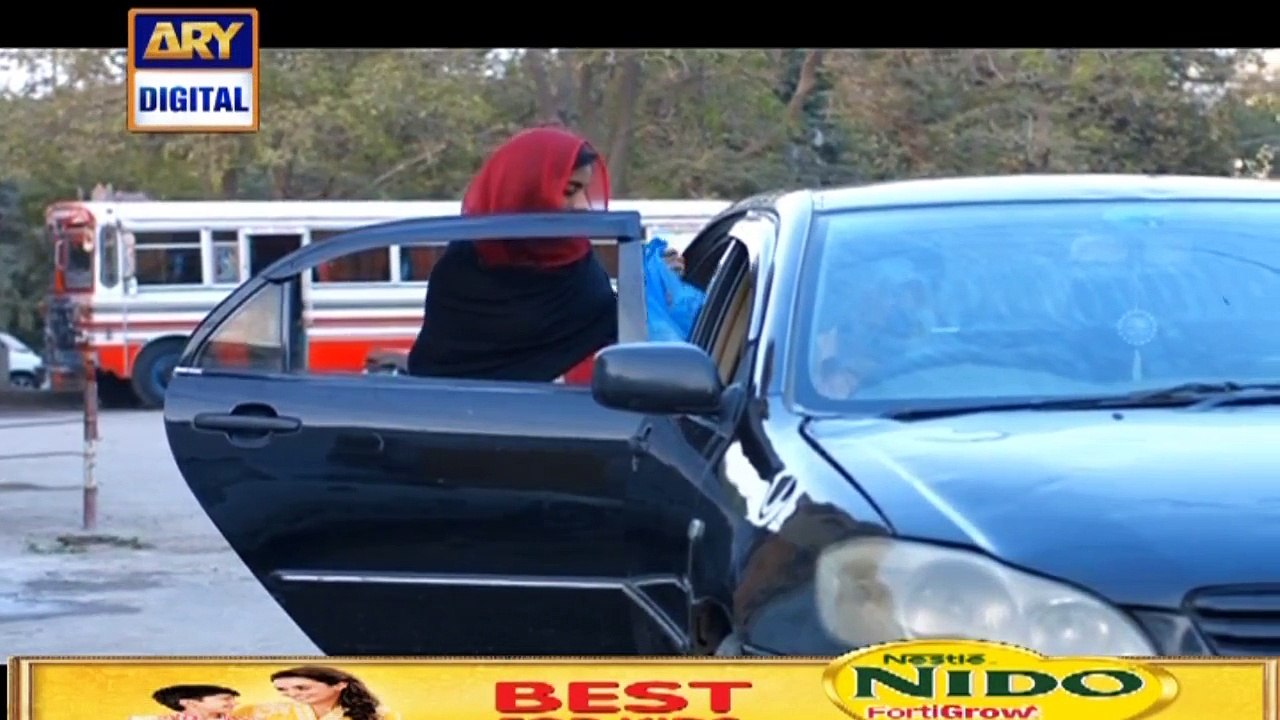 Mohe Piya Rung Laaga Episode  38  29th March 2016