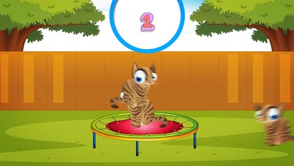 10 Küçük Kedicik - Saymayı Öğreniyoruz - Çocuk Şarkısı