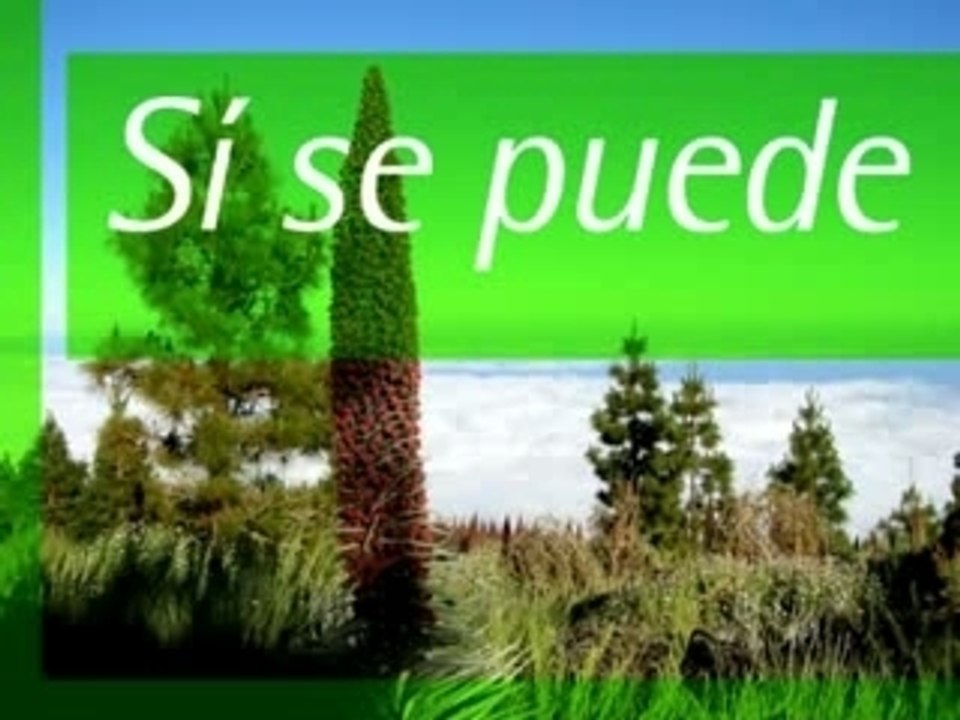 Hoy