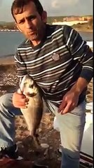 İzmir-Aliağa 7 kg ÇUPRA avı