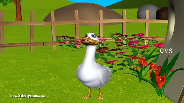 Five Little Ducks went out one day - 3D Animation English Nursery Rhymes for Children