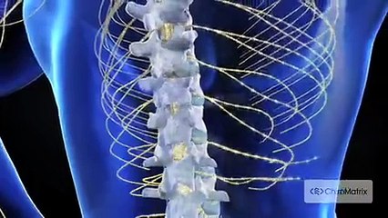 Idaho Falls Chiropractic Treatment_ Grand Teton Chiropractic