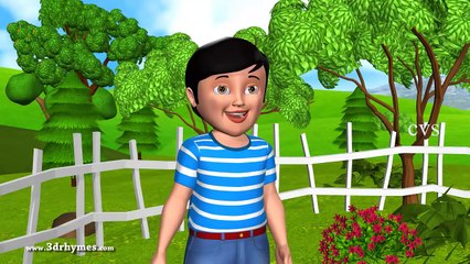 Baa Baa Black Sheep - 3D Animation English Nursery rhyme for children with lyrics