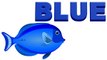 Color BLUE Song  Learn Colours  Preschool Colors Nursery Rhymes by ANIMATED WORLD ......