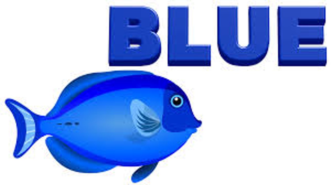 Color BLUE Song  Learn Colours  Preschool Colors Nursery Rhymes by ANIMATED WORLD ......
